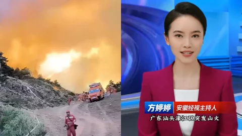 汕头礐石后山山火事件